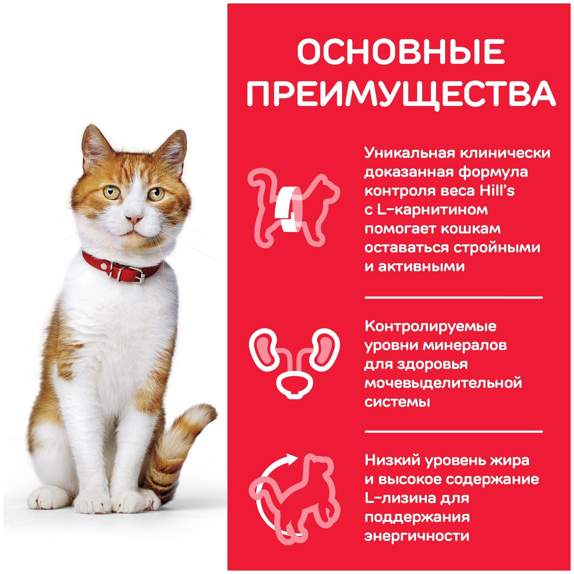 Корм влажный HILLS Hill's Science Plan Sterilised Cat Young Adult with Trout для стерилизованных кошек до 6 лет, Форель 12шт.*85 г - фотография № 9