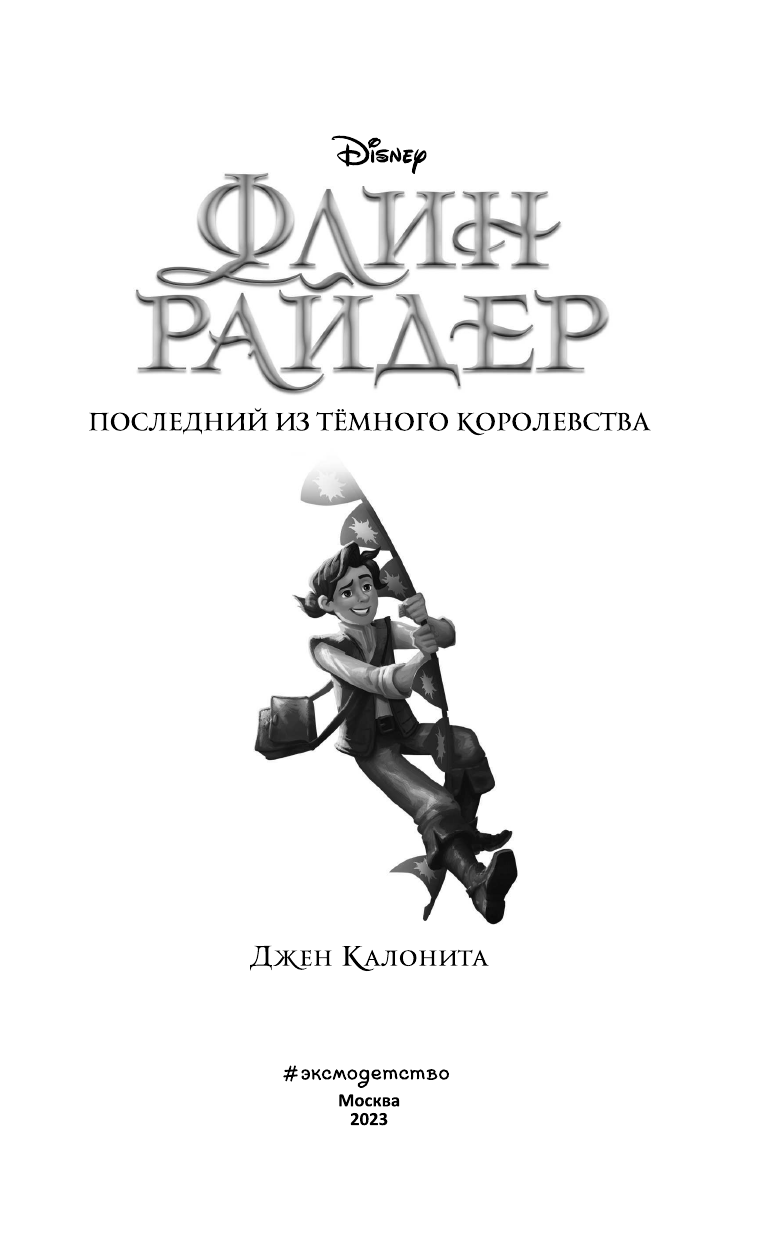 Флин Райдер. Последний из тёмного королевства - фото №5