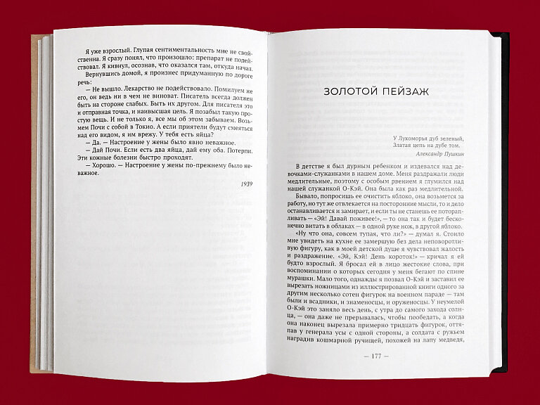 Восемьдесят восьмая ночь. Избранная проза - фото №5