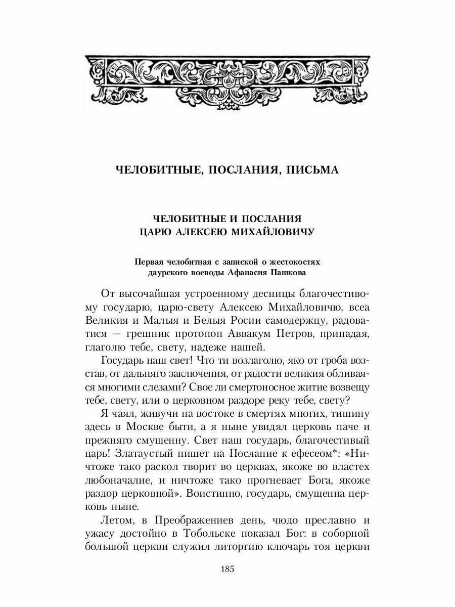 Житие протопопа Аввакума, им самим написанное, и другие его сочинения - фото №3