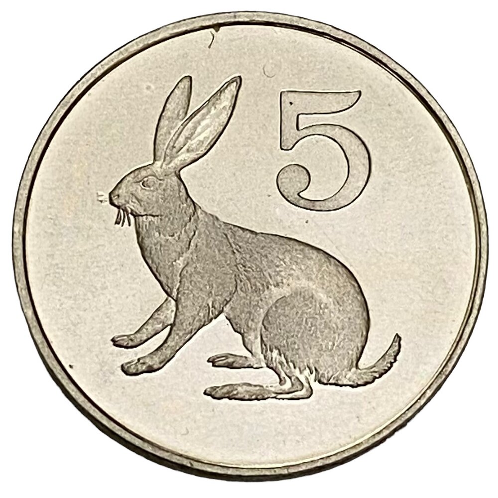 Зимбабве 5 центов 1980 г. (Proof)