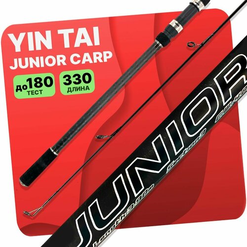 карповое удилище junior carp 330 см быстрый строй тест 100 200 г Карповое удилище штекерное JIN TAI JUNIOR CARP 3.3, 330см 4.00lb