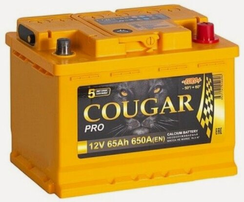 Изображение товара Аккумулятор автомобильный Cougar PRO 65 А/ч 650 А обр. пол. Евро авто (242x175x190)
