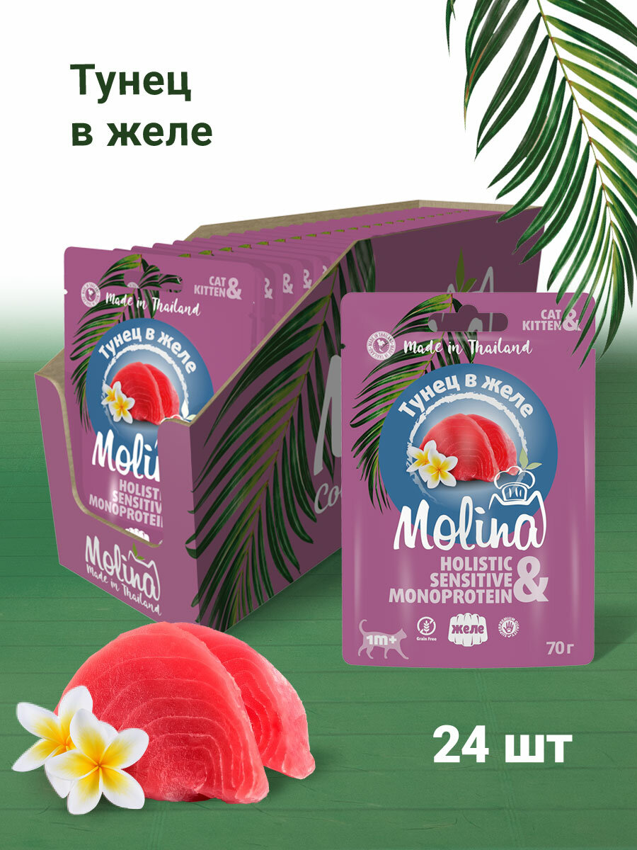 MOLINA корм для кошек и котят с тунцом в желе (70 гр х 24 шт)