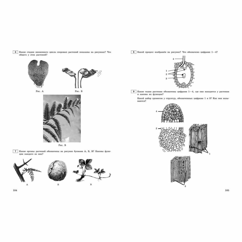 ЕГЭ-2024. Биология. Тематические тренировочные задания - фото №15