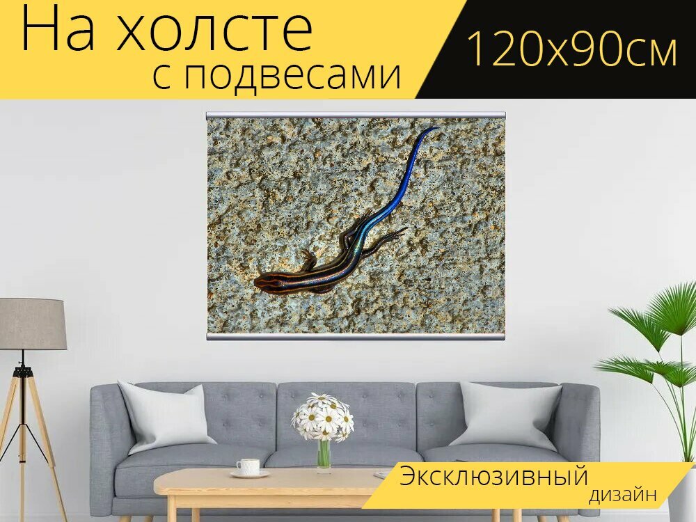 Картина на холсте "Сцинк, голубохвостый, ящерица" с подвесами 120х90 см. для интерьера