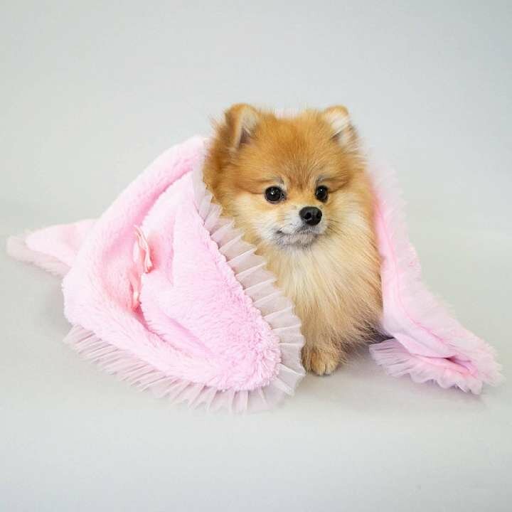 Одеяло / плед / покрывало для домашних животных Puffy Барби - фотография № 1