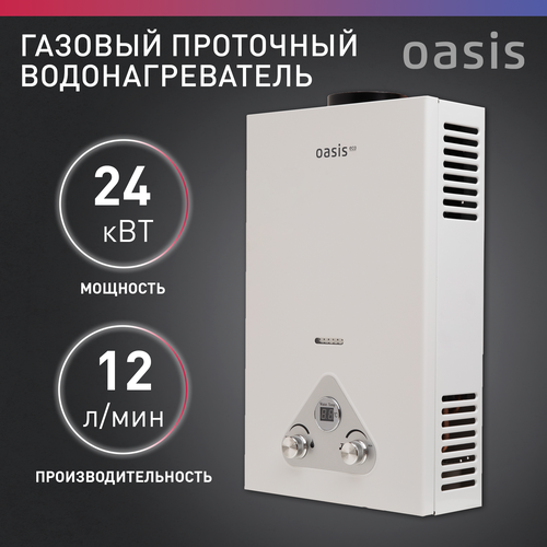 Газовый проточный водонагреватель колонка Oasis Eco W-24 кВт 1270000₽