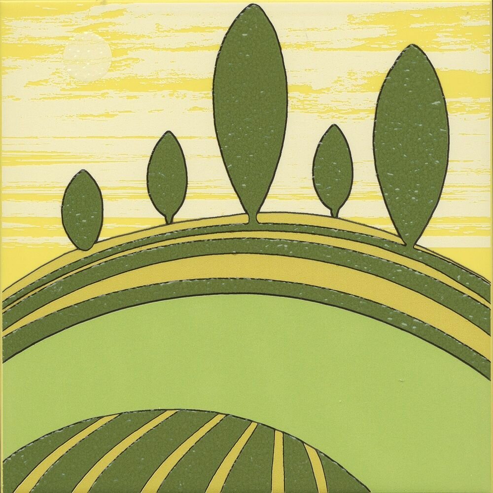 фото VT/A553/5109 Бардини 1 20x20x0,69 керам. декор