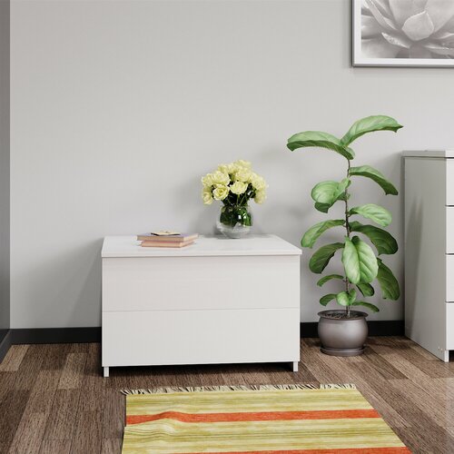 Комод для одежды и вещей белый с 2 ящиками domokomod 665041 4820₽