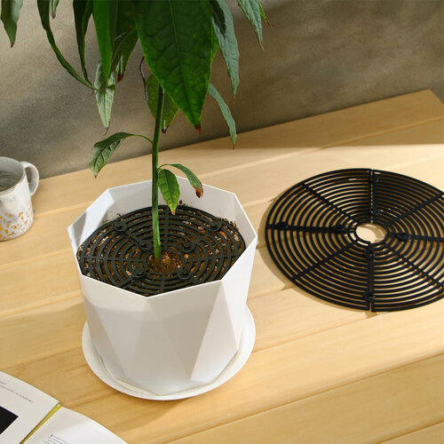 Защитная решётка для комнатных растений, d=30 см, пластик черный