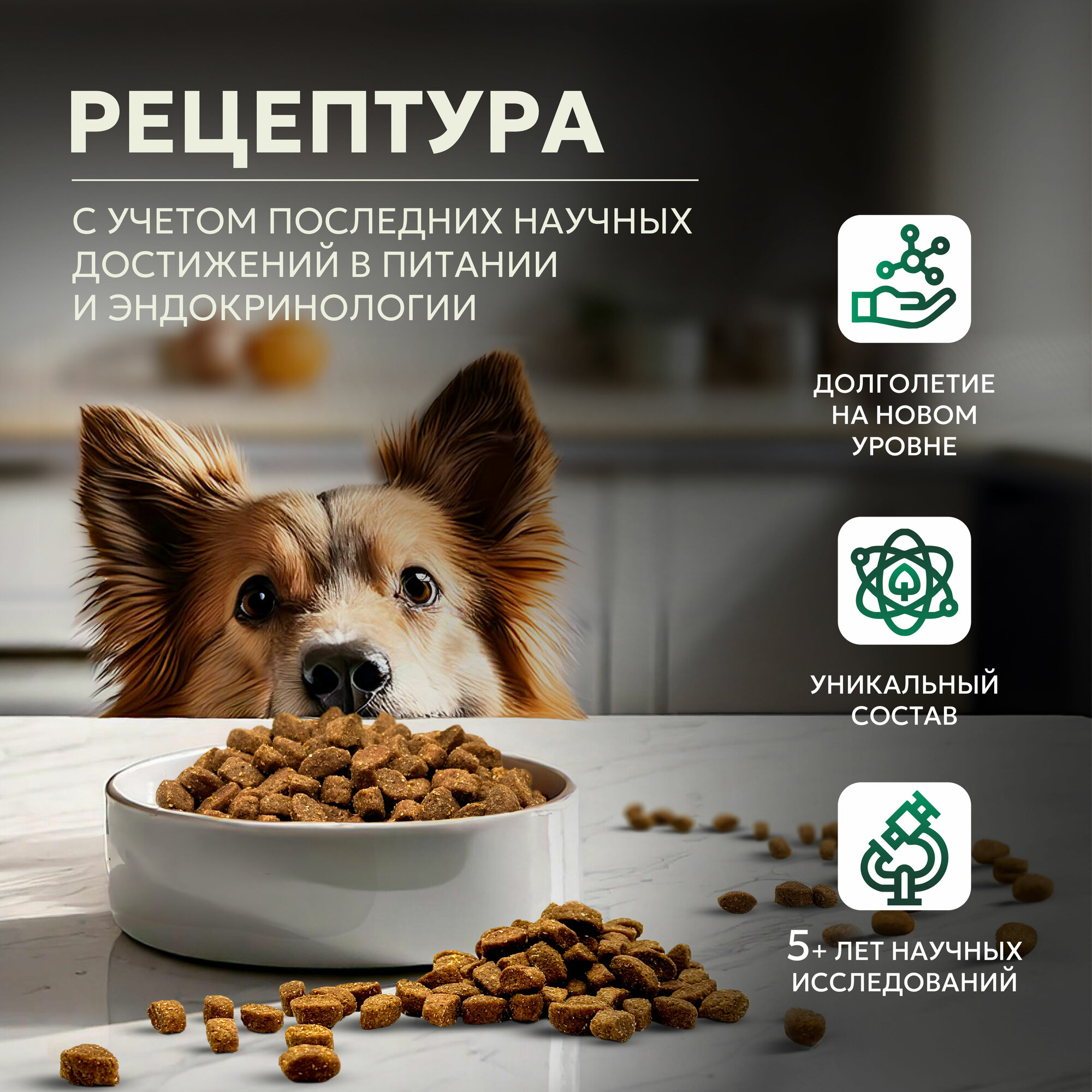 Just Dog сухой корм для собак, полнорационный, с ягненком, рисом, клюквой, яблоком и шиповником - 1,2 кг — фото 1