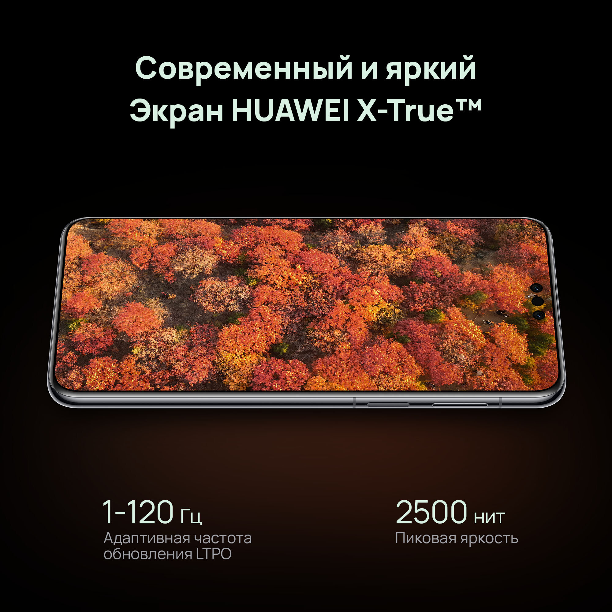 Смартфон HUAWEI Mate 70 Pro Черный 12 Гб + 512 Гб памяти, EAC — фото 1