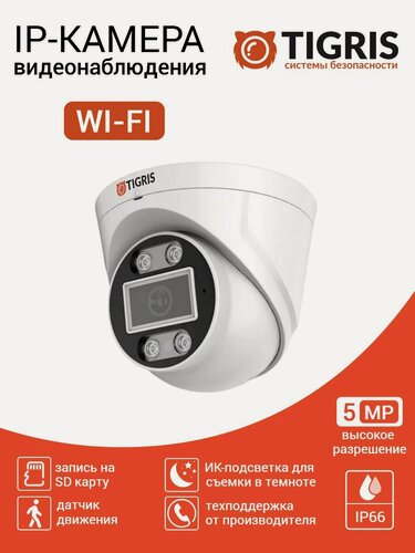 Изображение товара Купольная уличная WI-FI камера видеонаблюдения TI-VP5MW с микрофоном и записью на SD-карту