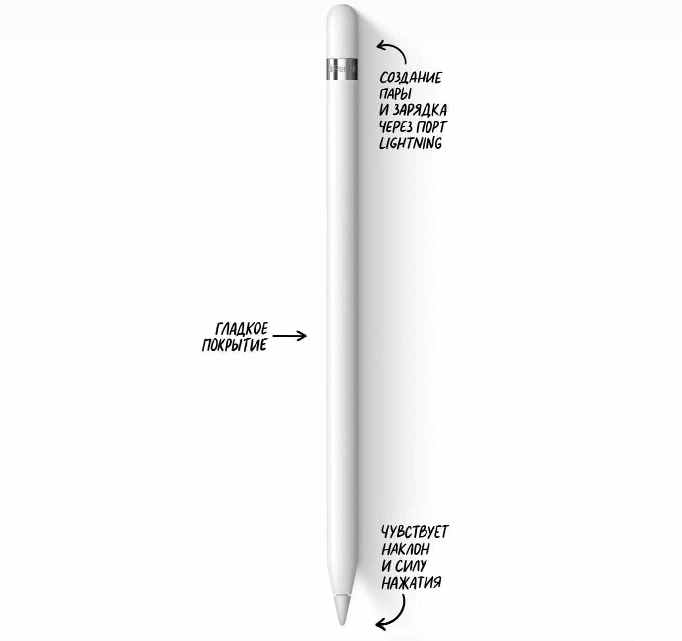 СтилусApplePencil (1st Generation) белый