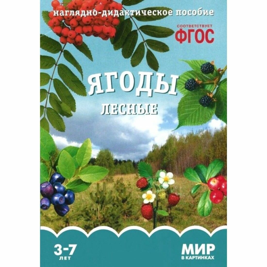 Ягоды лесные. Наглядно-дидактическое пособие. - фото №3
