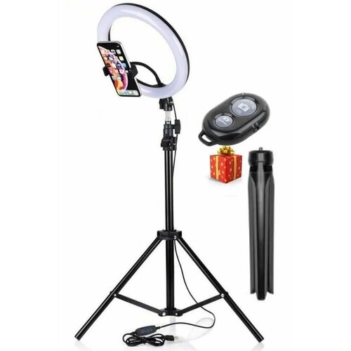 Кольцевая светодиодная лампа SL-26E 54400₽