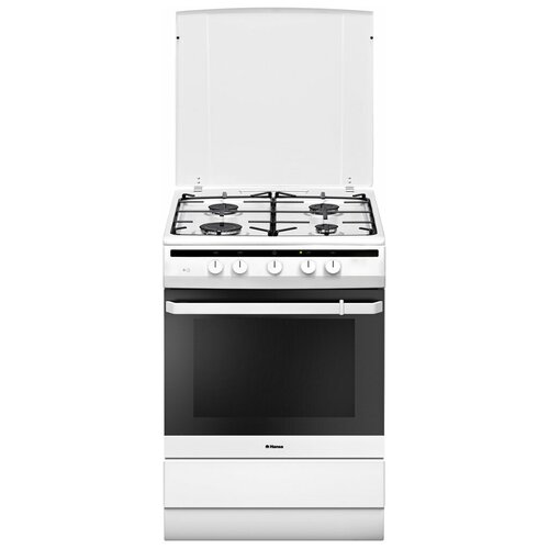 Газовая плита Hansa FCGW62040 2622000₽