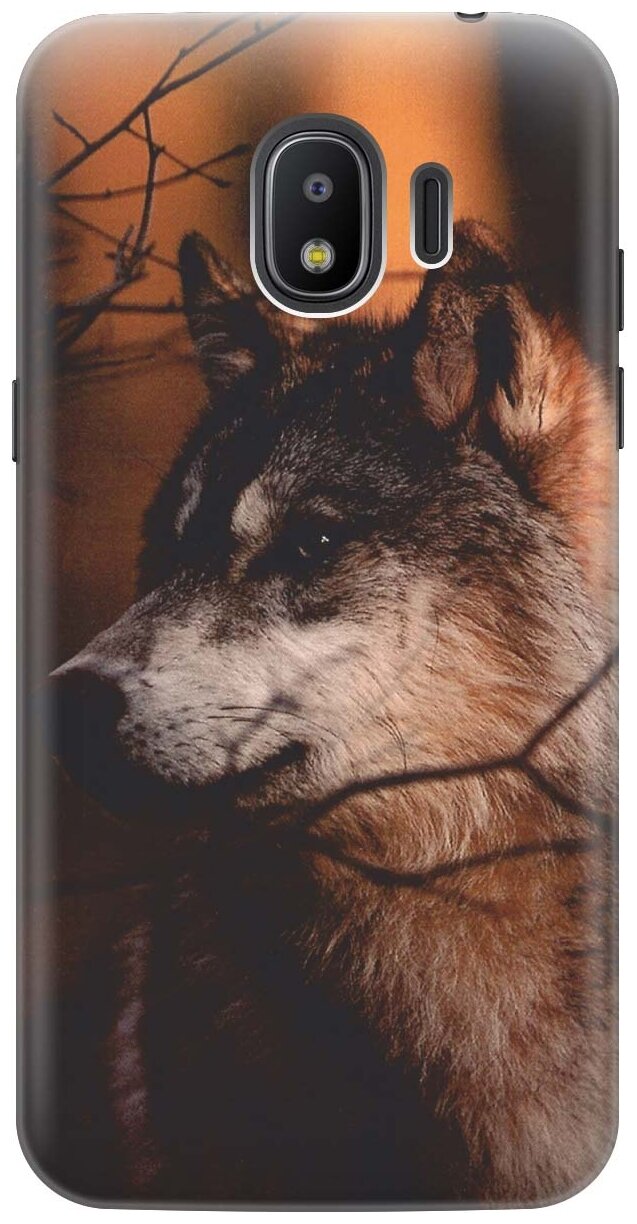 RE: PA Накладка Transparent для Samsung Galaxy J2 (2018) с принтом "Красивый волк"