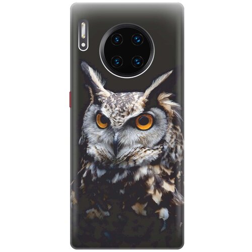 фото Re:paчехол - накладка artcolor для huawei mate 30 pro с принтом "сова на темном фоне"