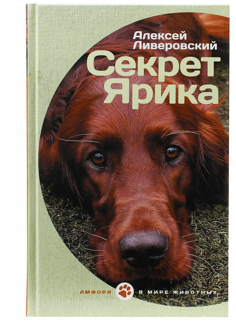 Секрет Ярика (Ливеровский Алексей Алексеевич) - фото №1