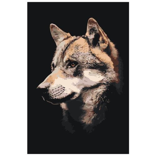 картина по номерам волк 40x60 см живопись по номерам Картина по номерам «Красивый волк», 40x60 см, Живопись по Номерам