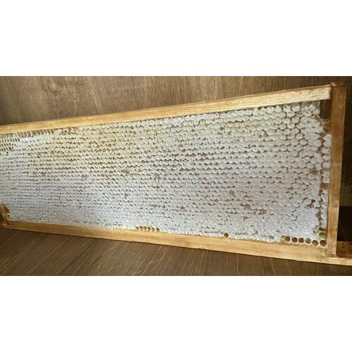 Мёд в сотах, медовая сота, сотовый мед, 2023, рамка 1,68-1,87 кг