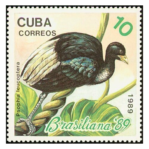(1989-051) Марка Куба Бледнокрылый трубач Птицы III Θ 1983 080 марка куба кубинский тиарис птицы iii θ
