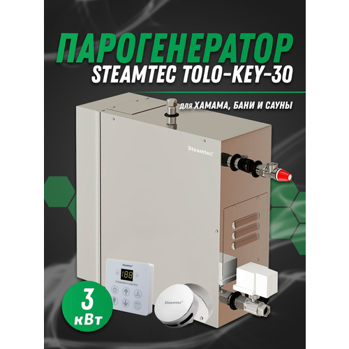Парогенератор для хамама Steamtec TOLO-30-KEY 3 Квт 220В 6680000₽