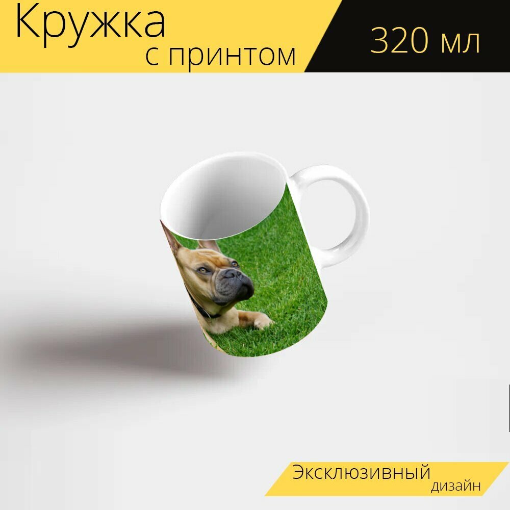 Кружка с рисунком, принтом "Французский бульдог, собака, животное" 320 мл.