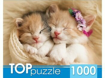 ПазлыTOPpuzzle 1000 дет. Два спящих котенка ГИТП1000-2142, (Рыжий кот) ()