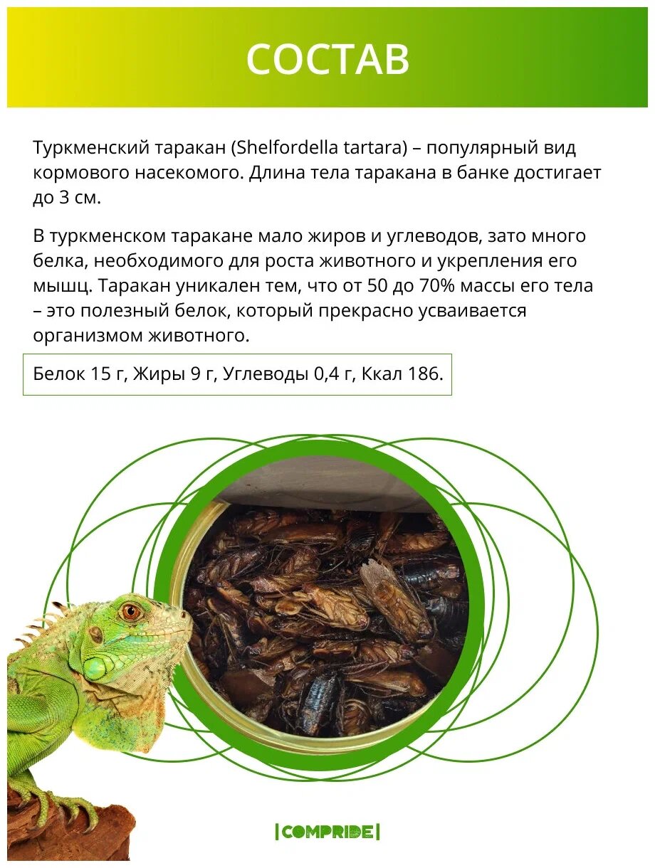 Консервированный корм ONTO для животных, туркменский таракан, 40 г - фотография № 4