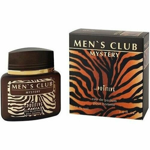 Art POSITIVE Парфюмерная вода мужская Men's Club, Mystery, 90 мл