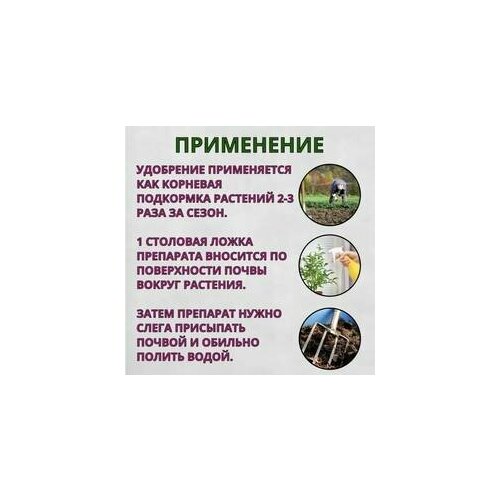 Сияние Микробиологическое удобрение Сияние-2 БакСиб-Р 10 шт