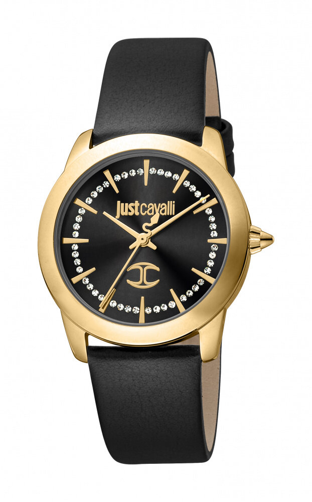 Наручные часы Just Cavalli JC1L211L0025