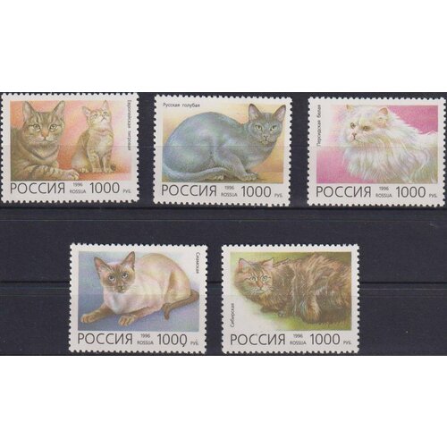 Почтовые марки Россия 1999г. Домашние кошки Кошки, Домашние кошки MNH домашние питомцы есть кошки в гнезде на рождество кошки на рождество