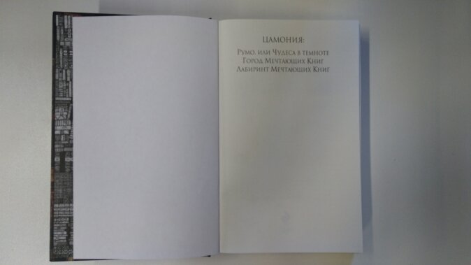 Лабиринт Мечтающих Книг (Садовникова Т.В. (переводчик), Моэрс Вальтер , Моэрс Вальтер (иллюстратор)) - фото №16