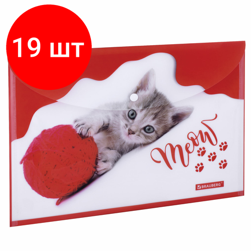 Комплект 19 шт, Папка-конверт с кнопкой BRAUBERG FUNNY CAT, А4, 160 мкм, цветная печать, 228038 папка конверт с кнопкой для документов