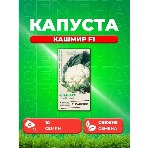 Капуста цветная Кашмир F1, 10шт, Гавриш, Sakata