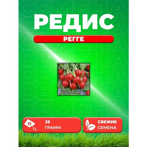 Редис Регге, 25г, Гавриш, Фермерское подворье, Bejo