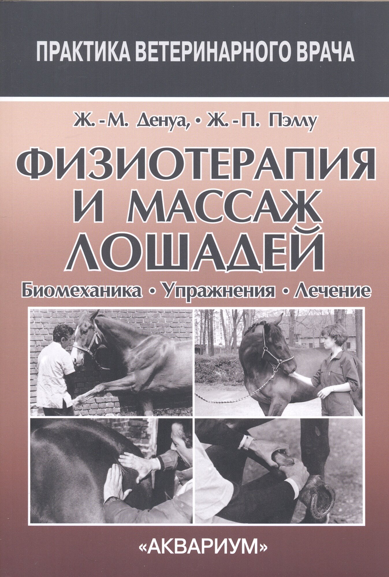 Физиотерапия и массаж лошадей. Биомеханика. Упражнения. Лечение