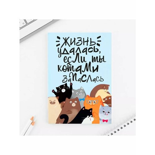 Ежедневник А5 80 л Тонкая обложка Много котов 540₽