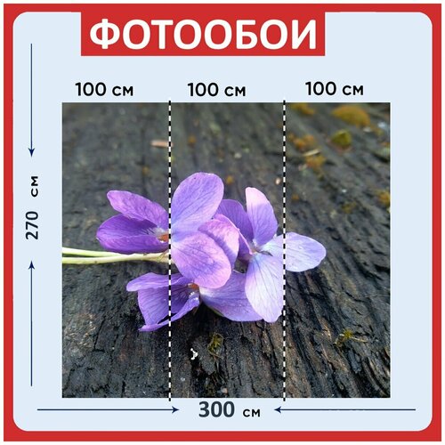 Фотообои Цветок лепестки фиолетовый 300x270 см флизелиновыена стену 3970₽