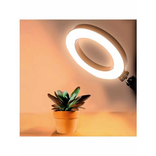 Светильник кольцевой 1269₽