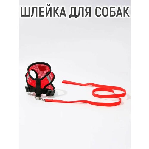Шлейка дышащая с поводком и светоотражающей нашивкой, M, ОШ 33, ОГ 32-43, красная