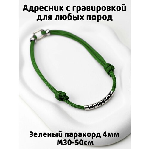 Украшение. Тихий адресник с гравировкой. Жетон 50мм на шнурке 4мм. Зеленый М