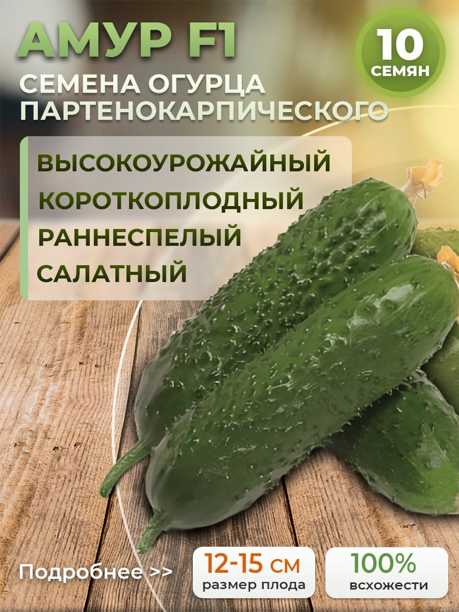 Семена огурцов самоопыляемых Амур F1 Bejo/Alexagro. Раннеспелый гибрид для открытого грунта и теплиц 10 сем.