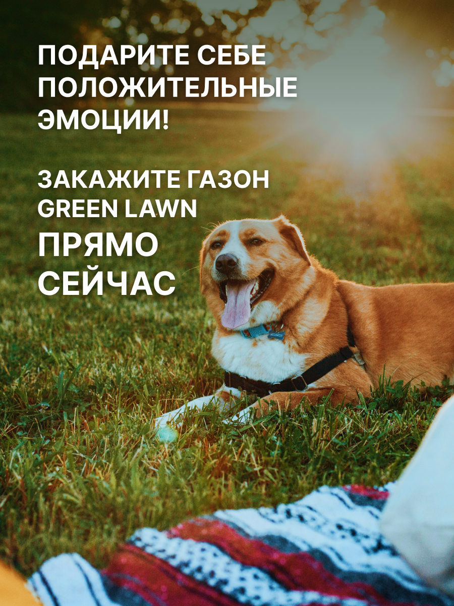Садовые Газоны Семена газона быстрорастущего, травосмесь теневыносливая Green lawn, 4 кг