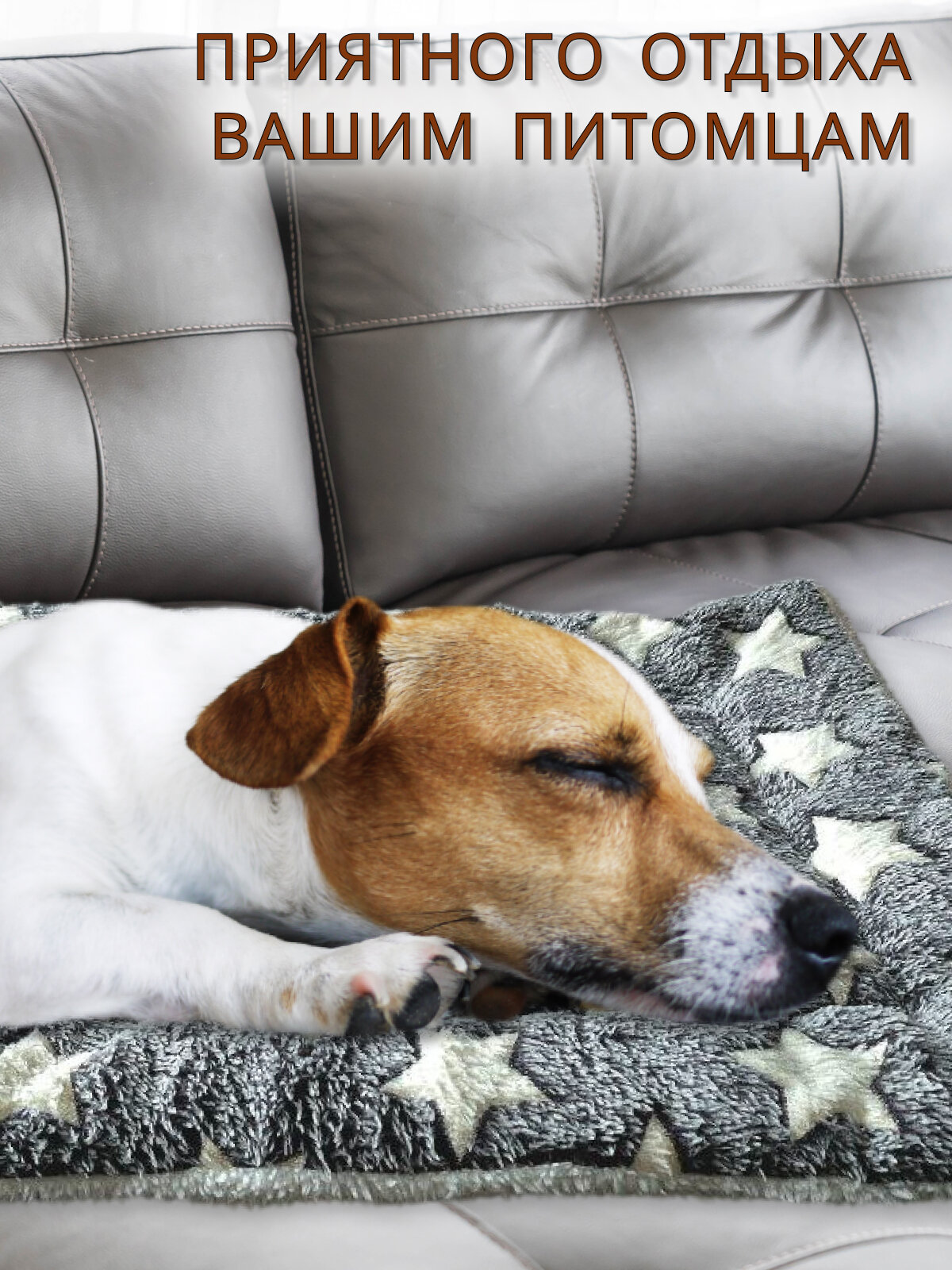 Лежанка для собак и кошек 1шт — фото 1