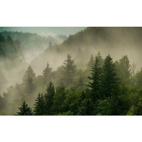 Моющиеся виниловые фотообои Туман над горами, 400х250 см